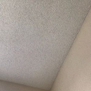 Meet your Posher, Shelby